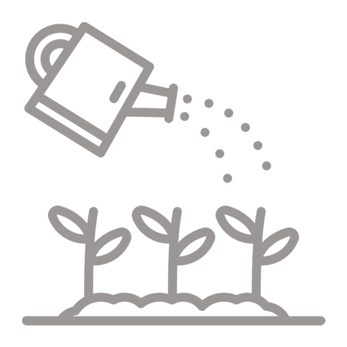 تزيين وزراعة الحدائق